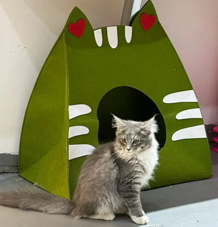 Домик для кошки мини